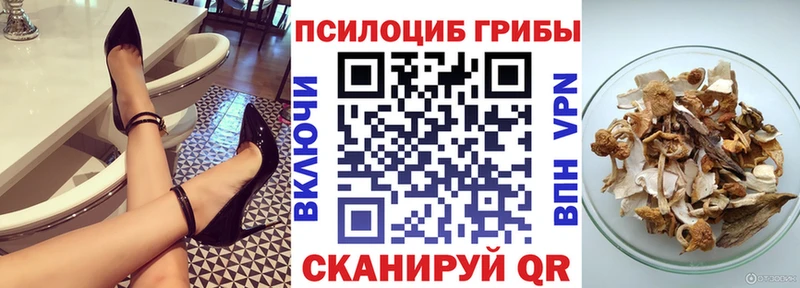 Купить  Полярные Зори  Псилоцибиновые грибы прущие грибы 